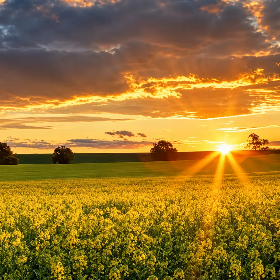 Riverina Certification Services